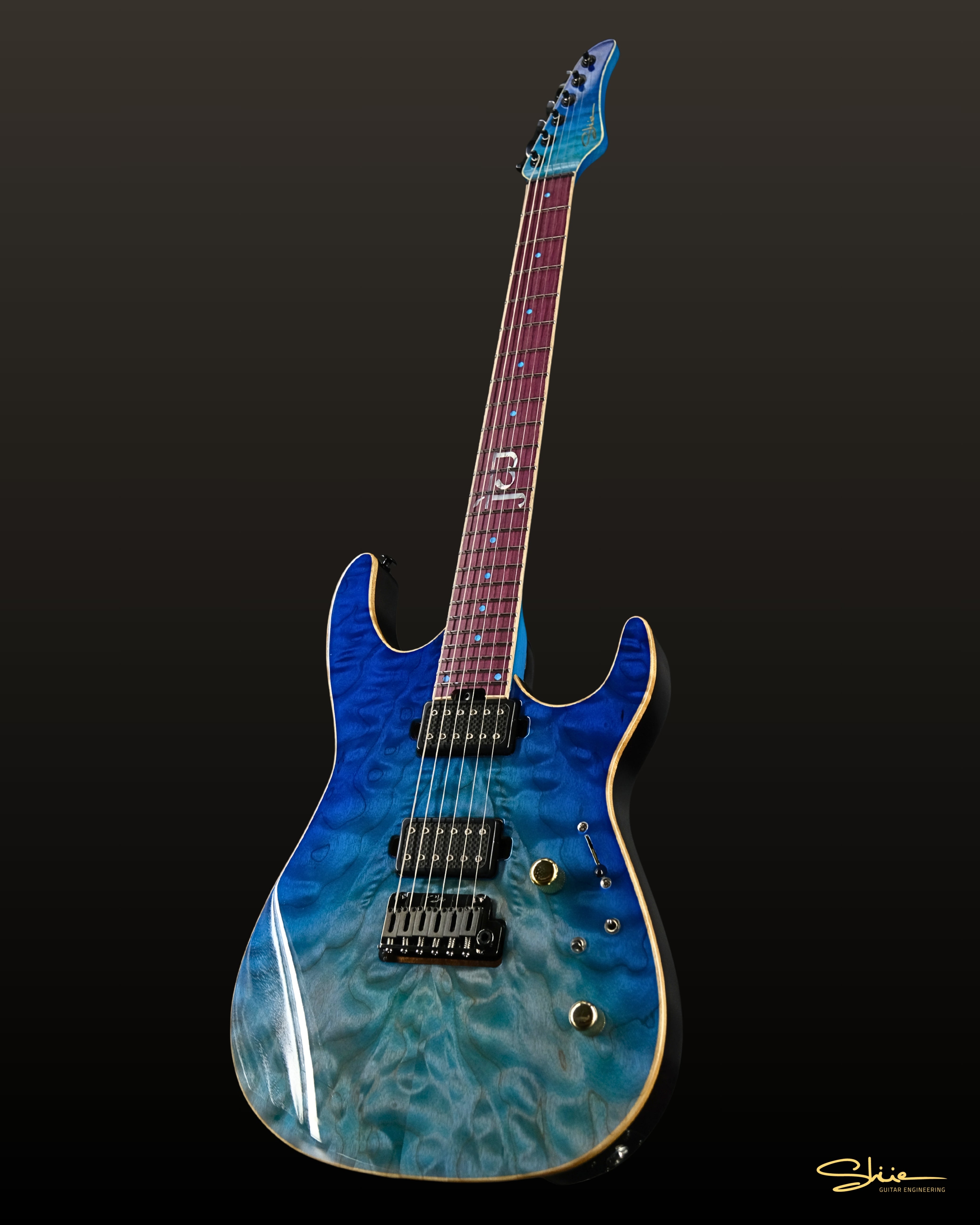 Jamie Wilson Signature Modern DT – Shüe Guitars