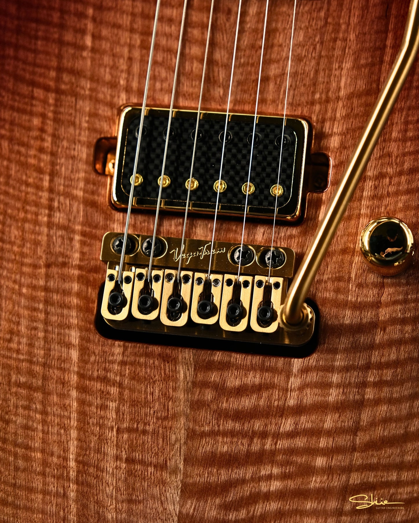 Alex G. Lim Signature Modern DT