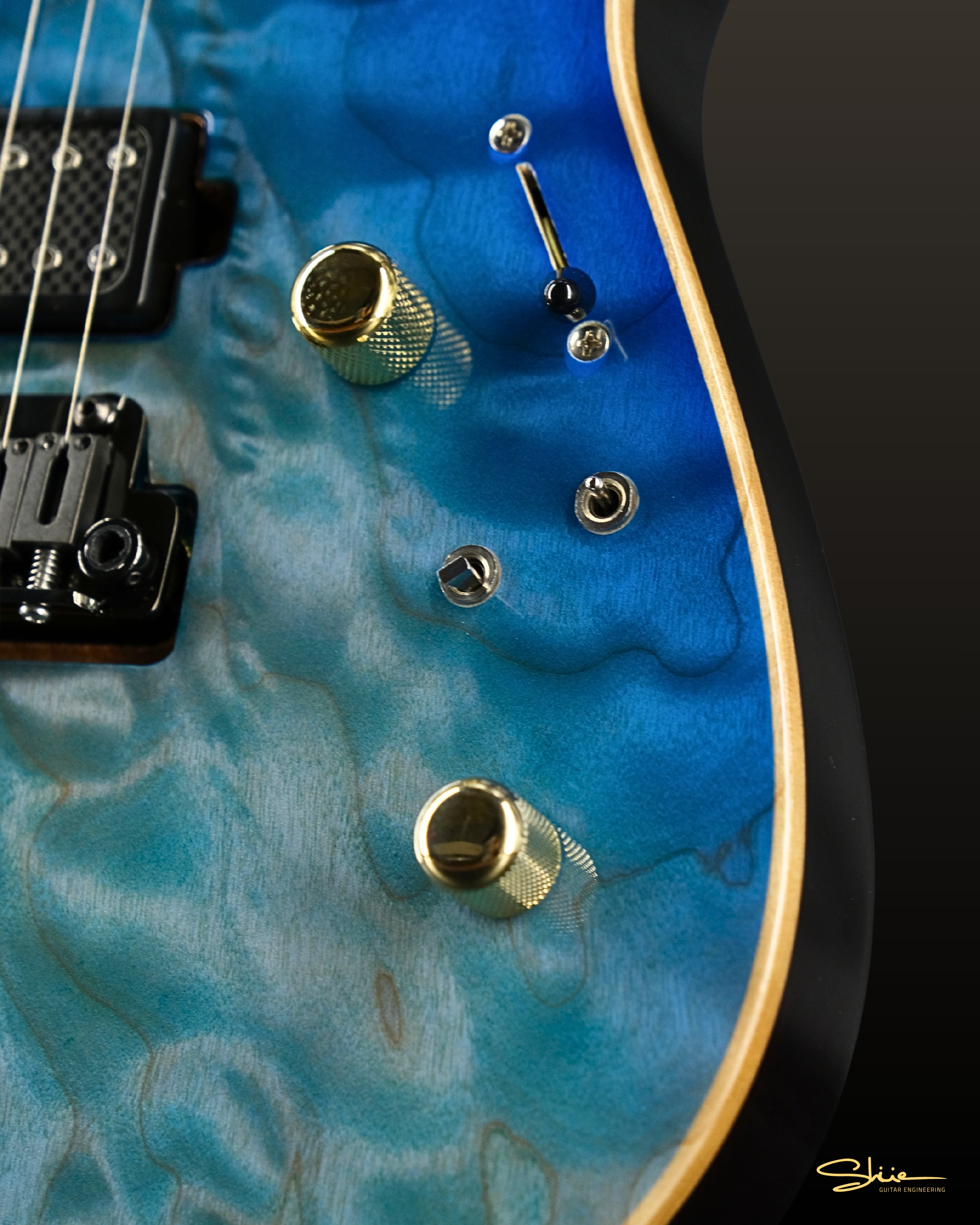 Jamie Wilson Signature Modern DT – Shüe Guitars